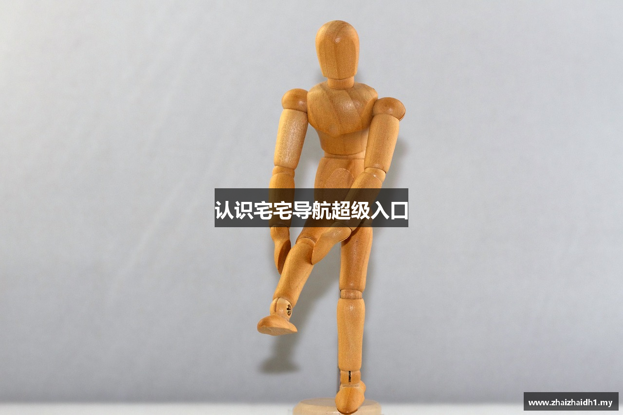 认识宅宅导航超级入口